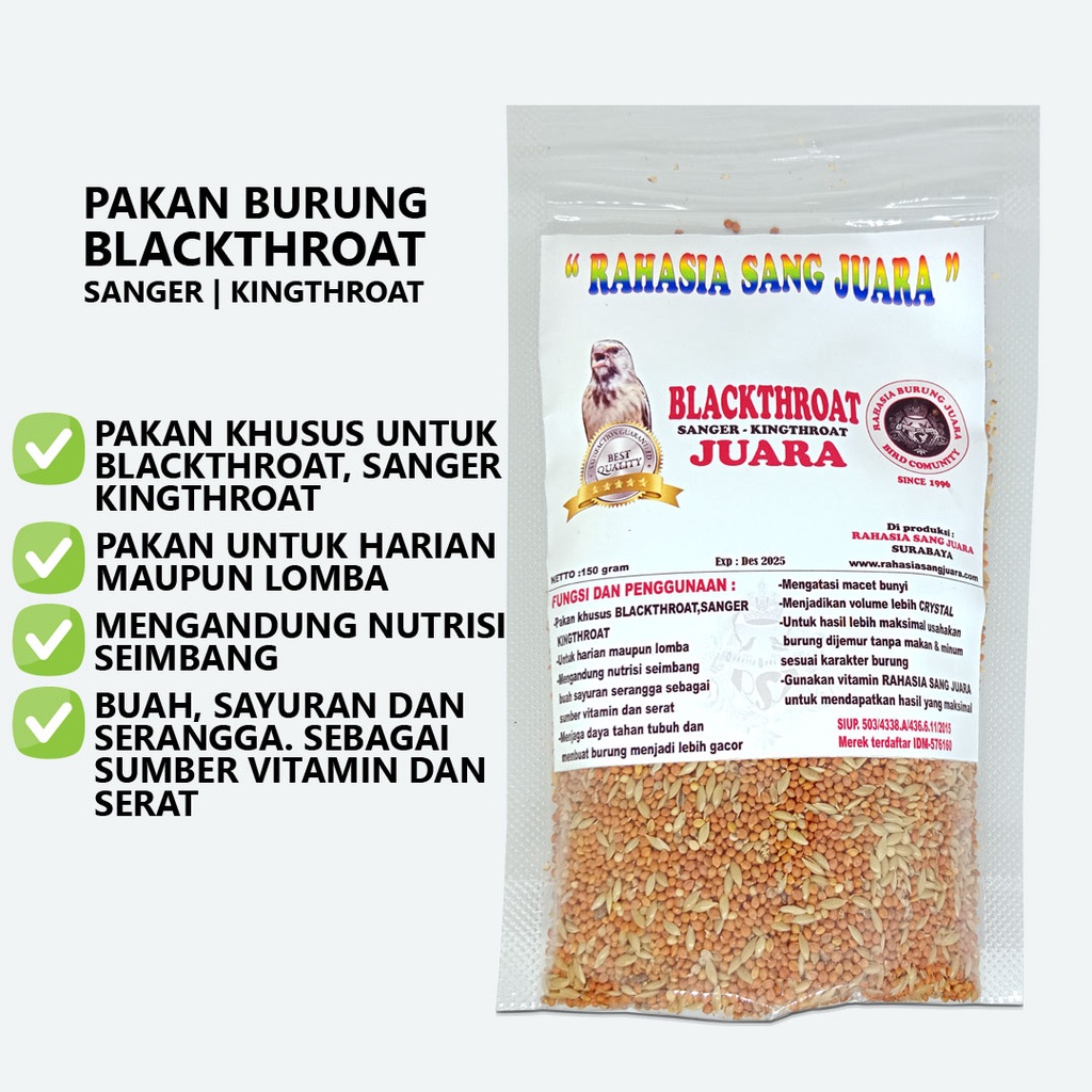 BLACKTHROAT JUARA | PAKAN BURUNG BLACKTHROAT SANGER KINGTHROAT JUARA GACOR