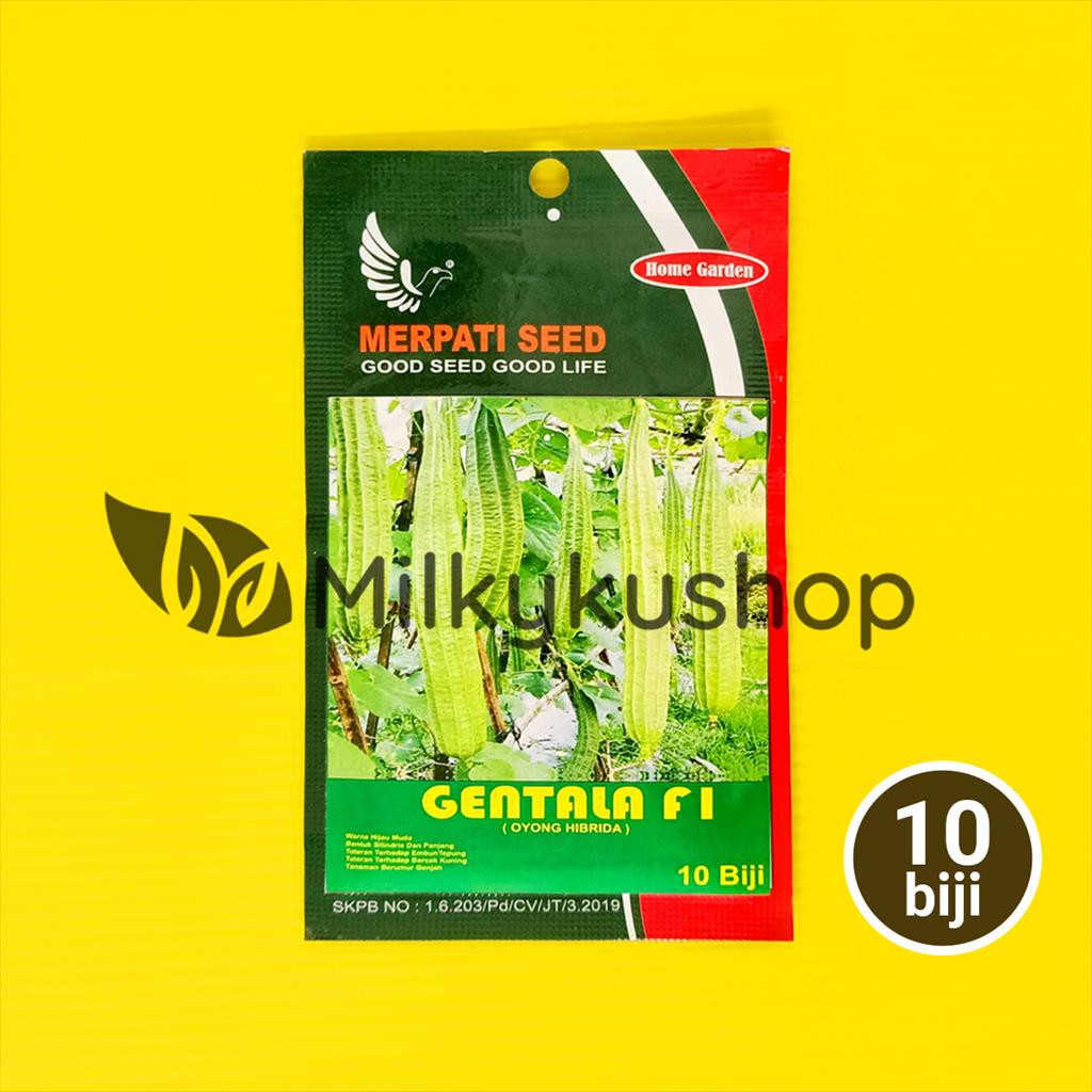 BENIH MERPATI SEED GENTALA F1  OYONG 10 BIJI SACHET KEMASAN PABRIK