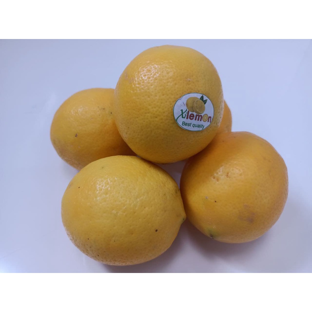 

Buah Lemon Segar 1 Kg Grade A