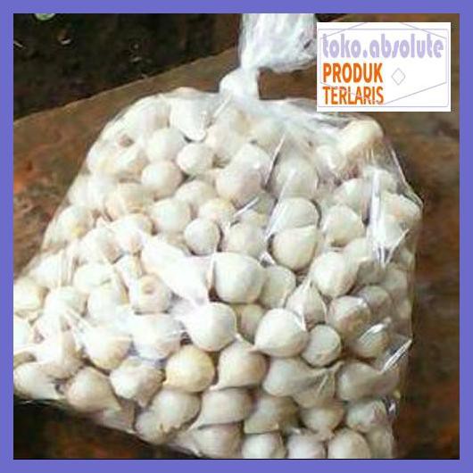 

6E64S6- Bawang Putih Tunggal/Bawang Lanang 250Gram Herbal Alami 76Rdy-