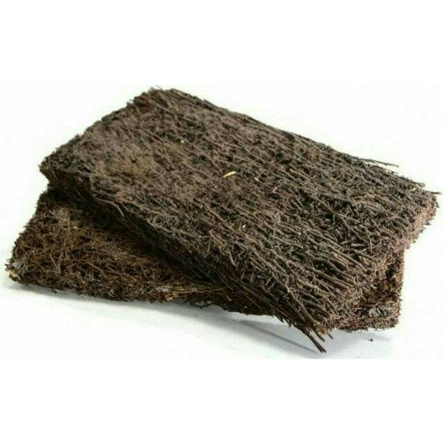 Media pakis lempeng | media anggrek (10pc)