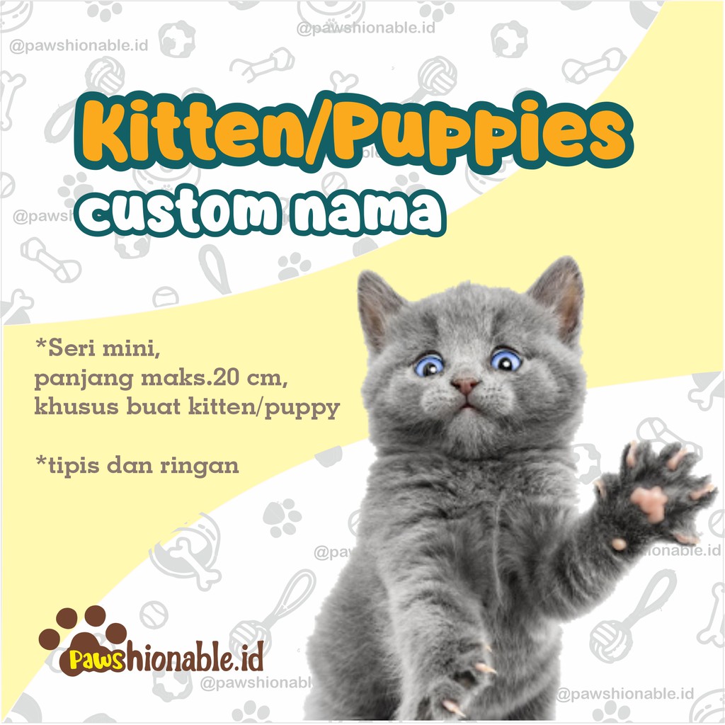 K39 Kalung Kucing Anjing Kecil khusus Kitten Puppies Custom Nama