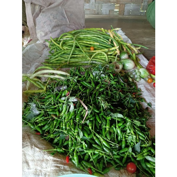 

Cabe_dan_Terong_kacang_panjang