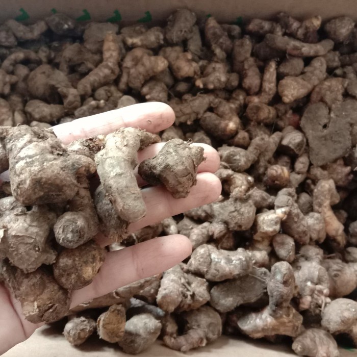 

201nhgg Jahe Merah Fresh 1Kg Size Kecil Ds201Fs