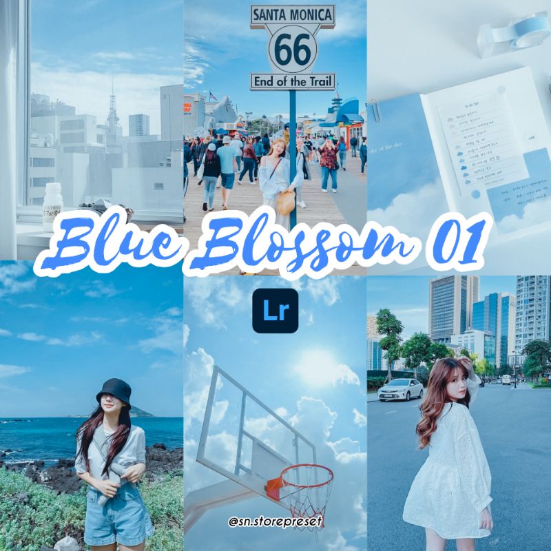 PRESET LIGHTROOM BLUE BLOSSOM 1 (IOS dan Android)