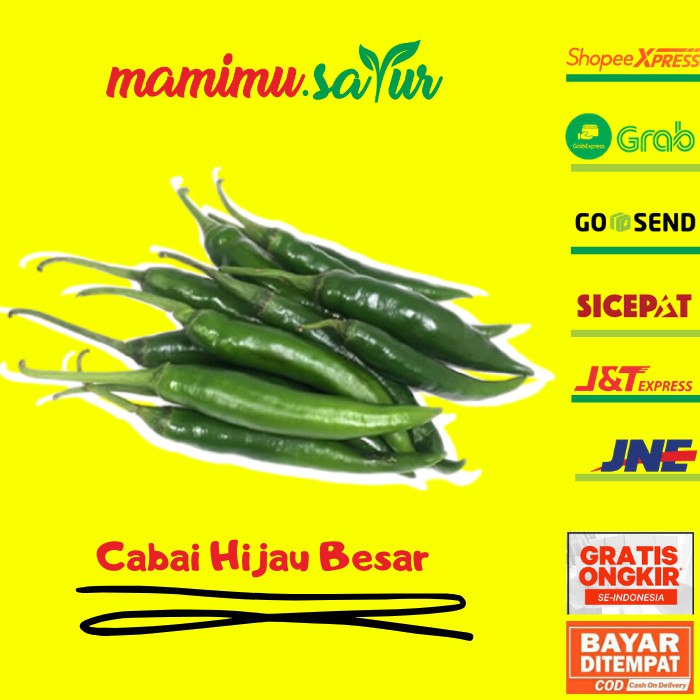 

SAYUR SAYURAN SEGAR FRESH CABAI HIJAU CABE HIJAU BESAR 500gr
