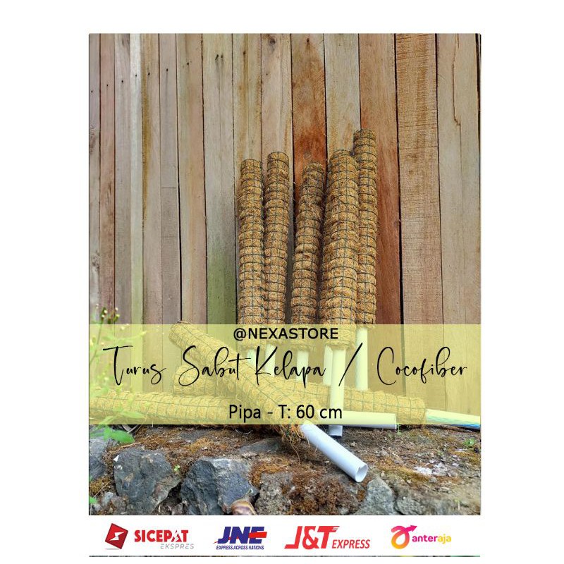 Jual Turus Sabut Kelapa Penyangga Tanaman Rambat Pipa 60 Cm Shopee