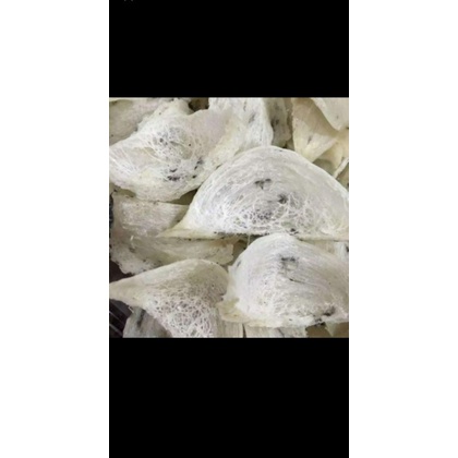 sarang walet mangkok