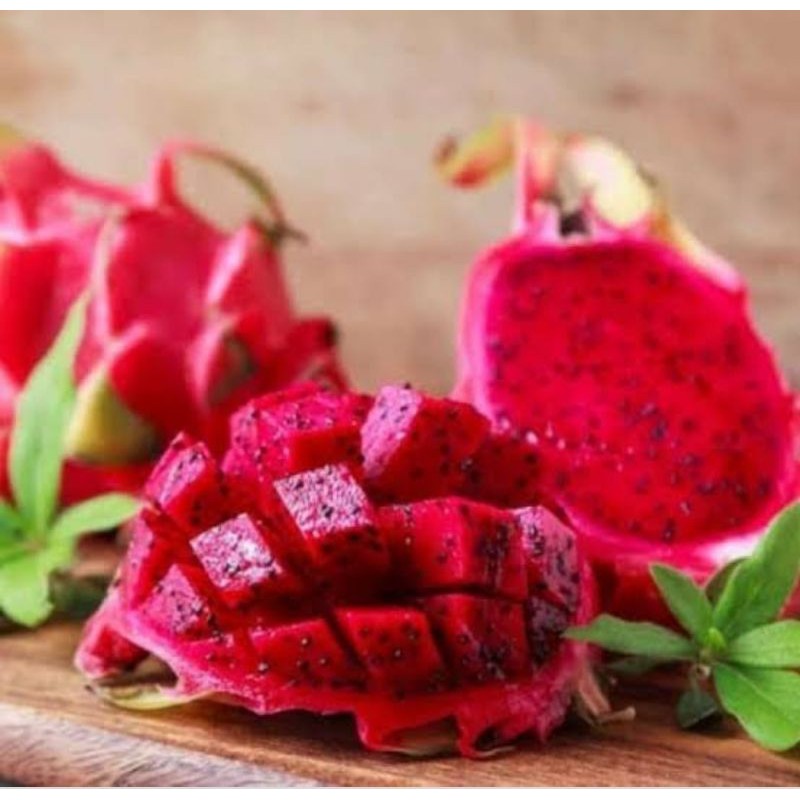 

Buah Naga Segar 1 kg Bandung