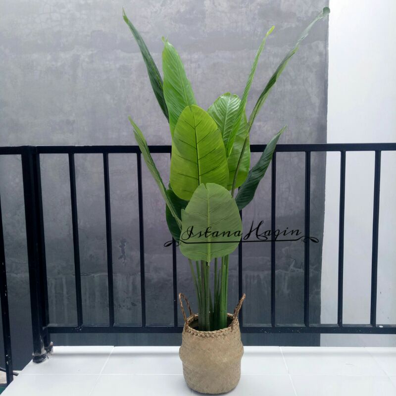 Pohon Pisang Traveler Artificial 1,4 meter (TANPA POT)