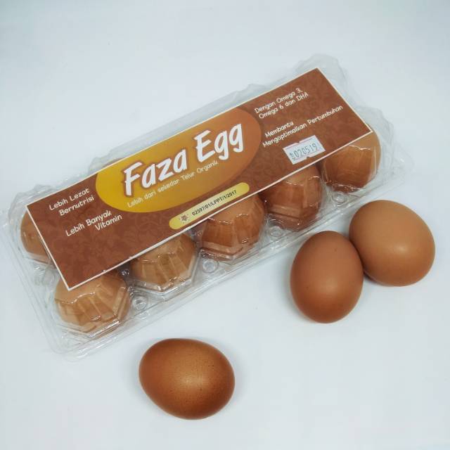 

TELUR ORGANIK BERVARIASI