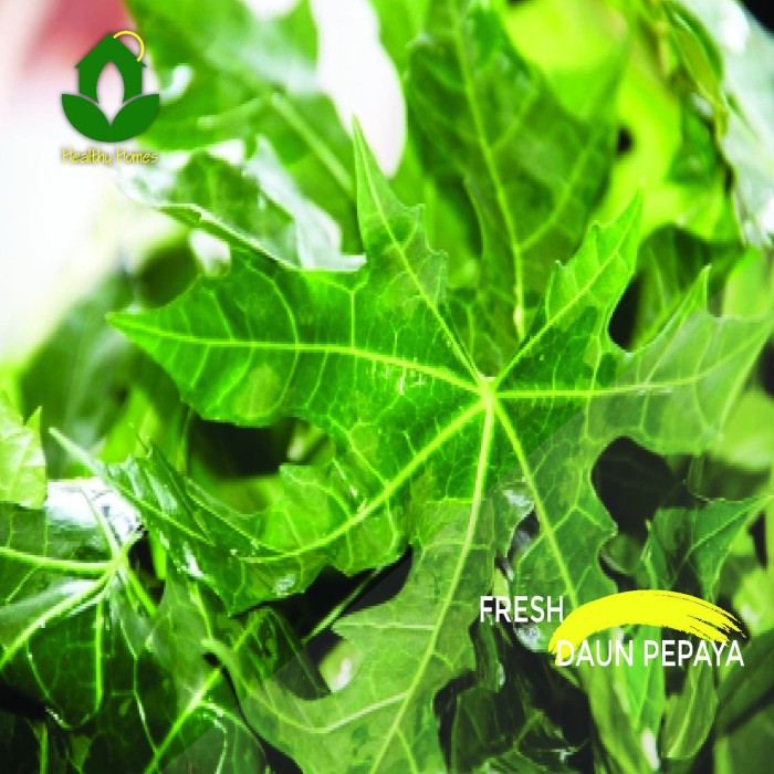 

Sayuran Daun Pepaya 500gram