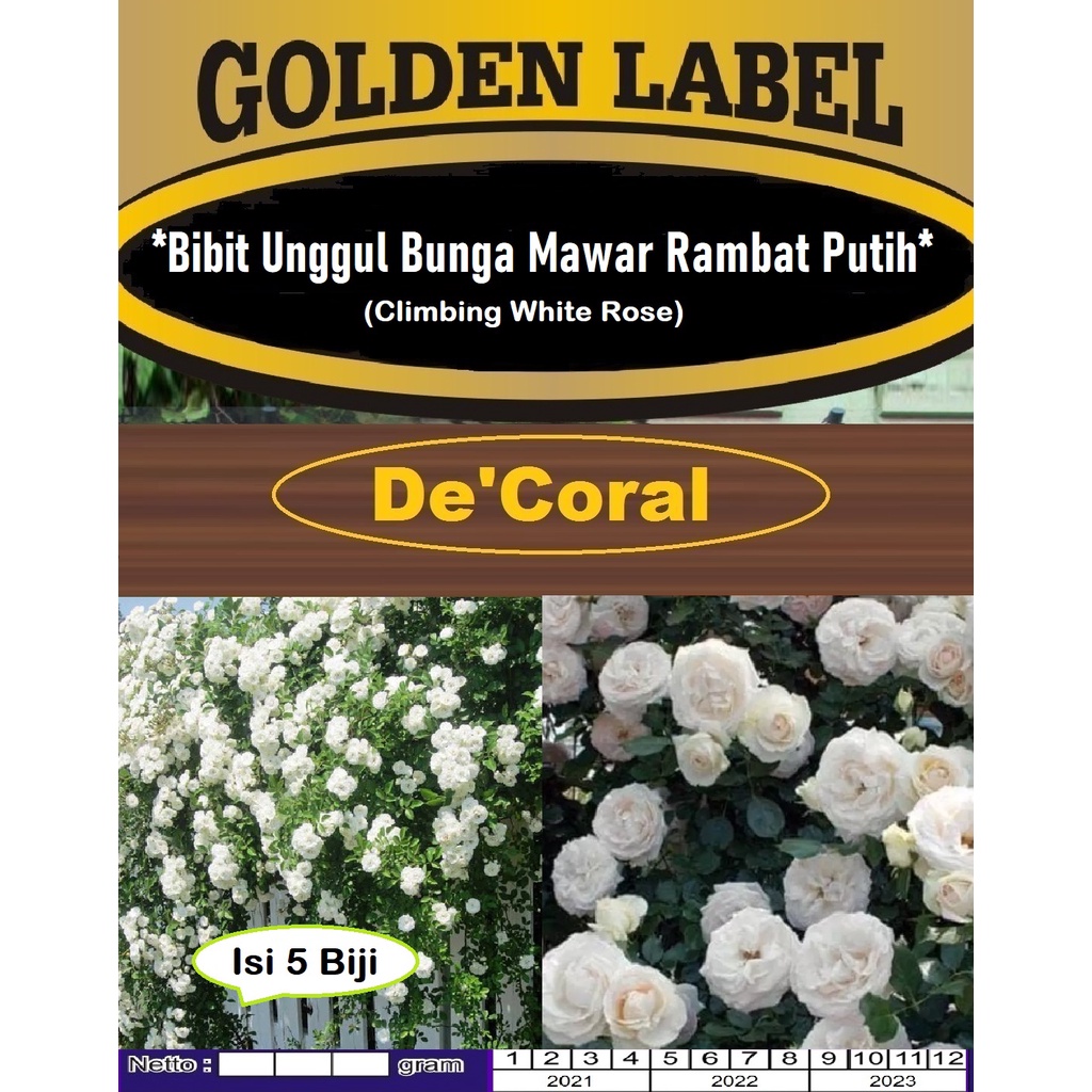 Bibit Unggul Bunga Mawar Rambat Putih | Benih Bunga Mawar Rambat Putih