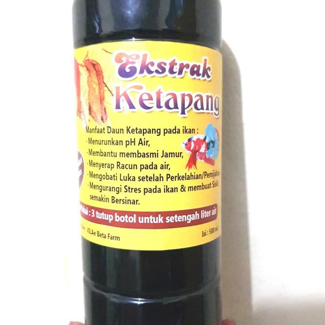 

NEW SALE EKSTRAK DAUN KETAPANG 500ML. COKLAT PEKAT