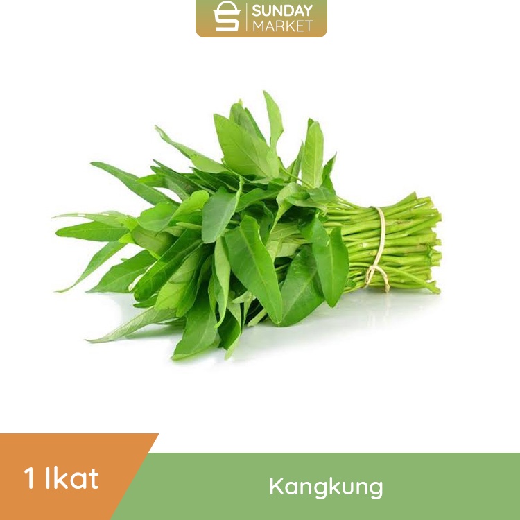 

Kangkung Segar 1 Ikat [± 250gr] | Fresh Setiap Hari