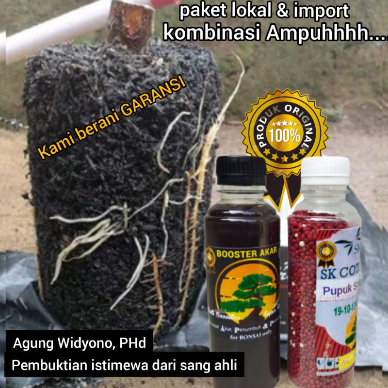 pupuk akar tanaman, booster akar, pupuk bonsai, pupuk aglonema, pupuk bonggol aglonema, pupuk bunga