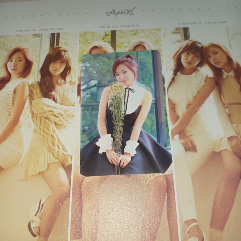 Apink Pink Luv Photocard PC Namjoo