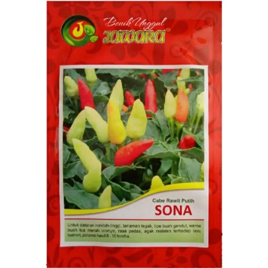 Bebih Cabe Rawit Putih SONA 10gr / Bibit Cabe Rawit Putih / Biji Cabe Rawit Putih / Cabe Rawit Putih