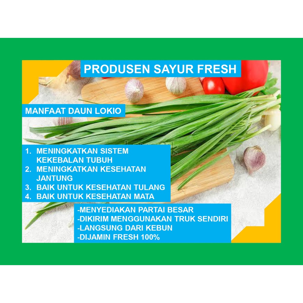

Lokio Daun Bawang Lokio Fresh Asli Langsung Dari Petani