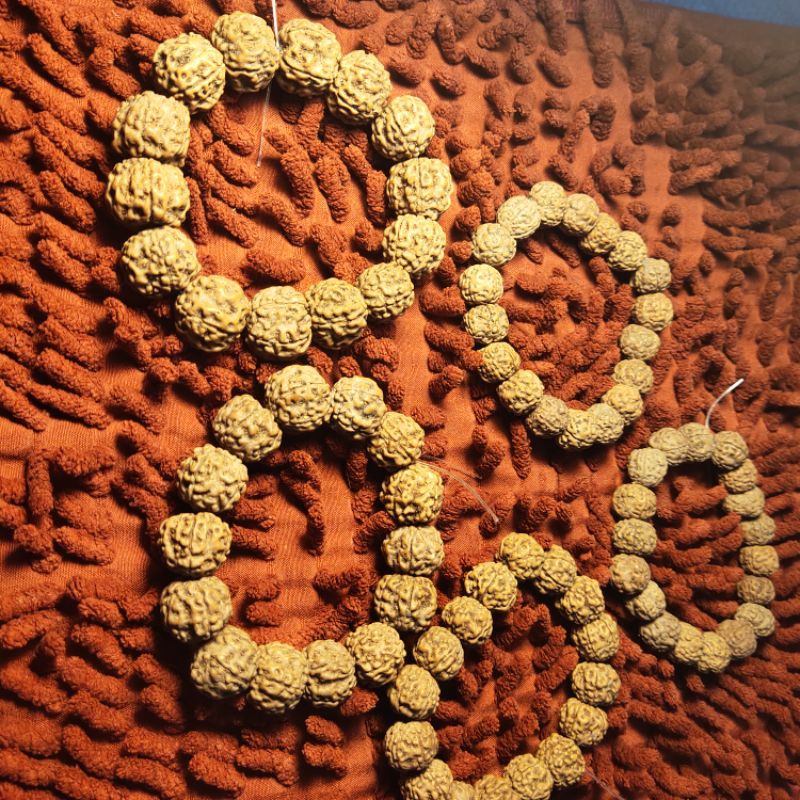 gelang rudraksha original