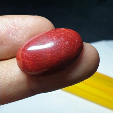 Batu red coral marjan original