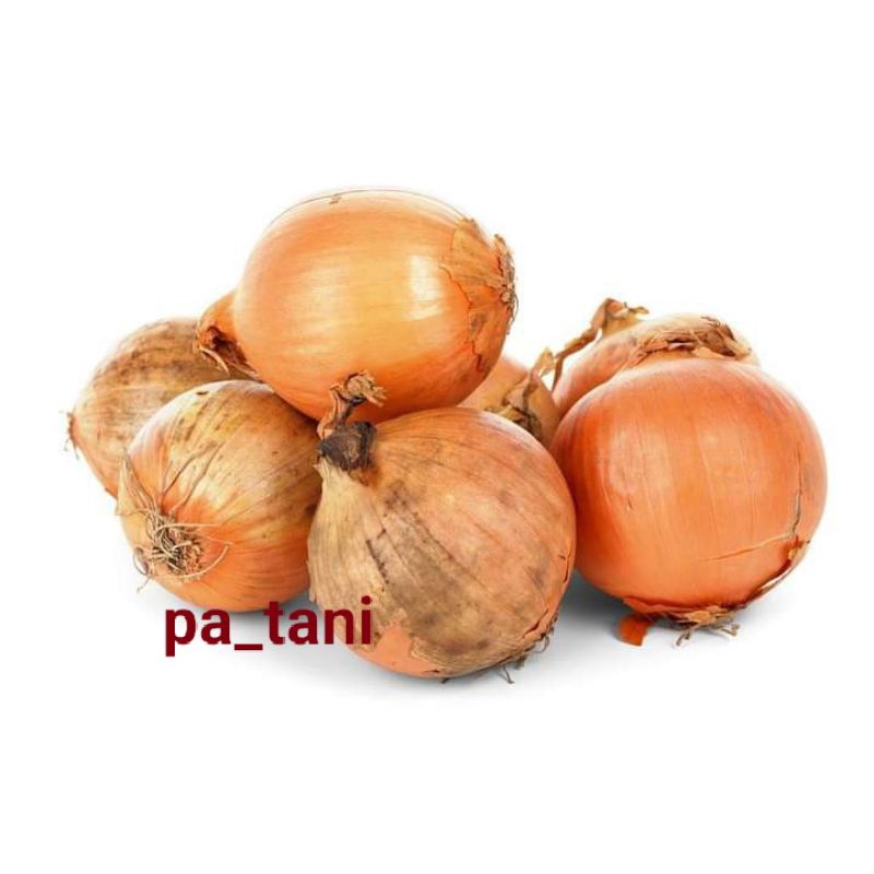 

BAWANG BOMBAY