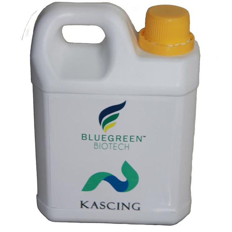 Buruan Serbu Ikan Nila Bioflok