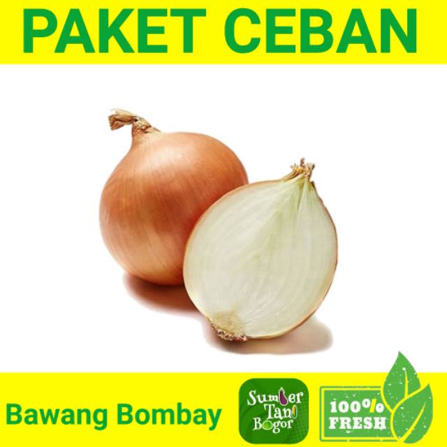 

BAWANG BOMBAY PER PACK PAKET CEBAN