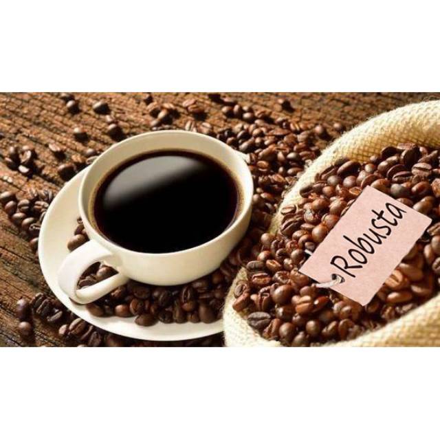 

Biji Kopi Robusta Murni Kapal Tapis 1000gr