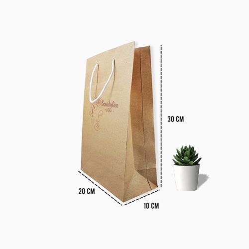 

Paperbag 20x10x30 + Print Custom Logo