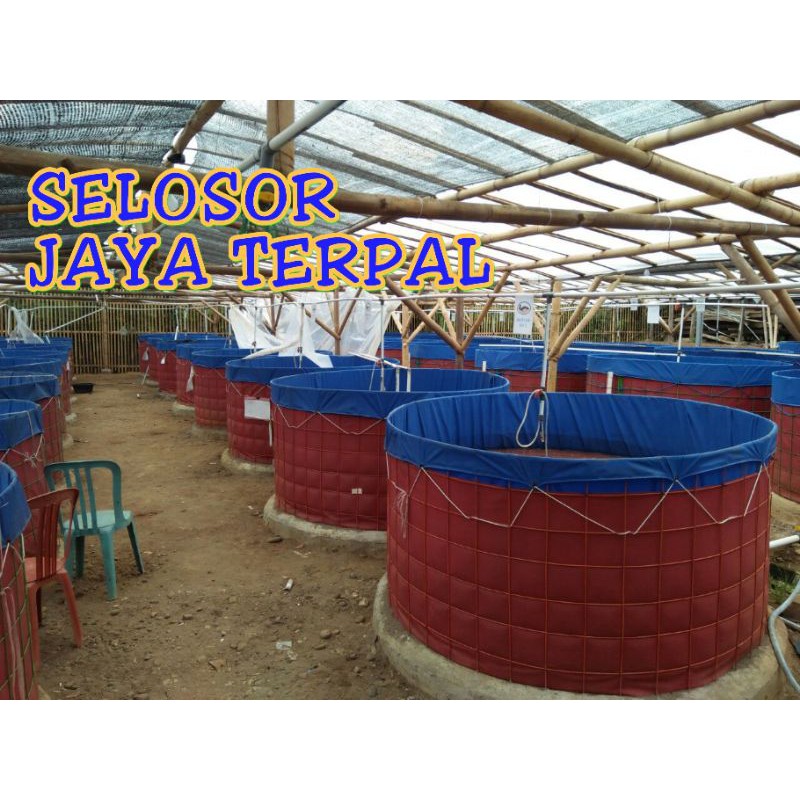 kolam bulat D4 T1 bahan orchid