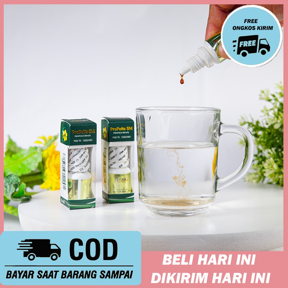 Obat Telinga Berair , Congek, Curek, Telinga Bernanah, Infeksi Telinga - Propolis Brazil SM
