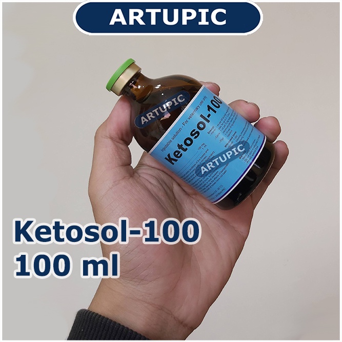 Ketosol-100  100 ml Anti inflamasi Anti Radang Babi Sapi Kuda Holland pengganti phenilject Mengurangi demam infeksi gangguan pernapasan Mengurangi nyeri organ Pengobatan suportif setelah melahirkan