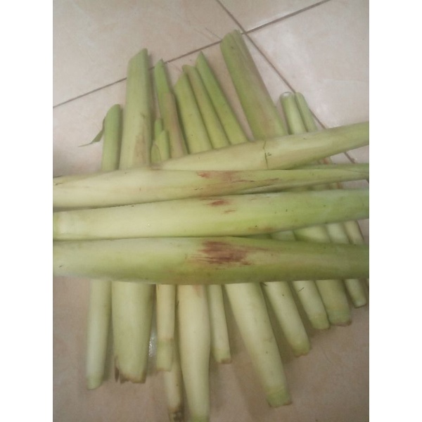 

terubuk atau turubuk 500gr