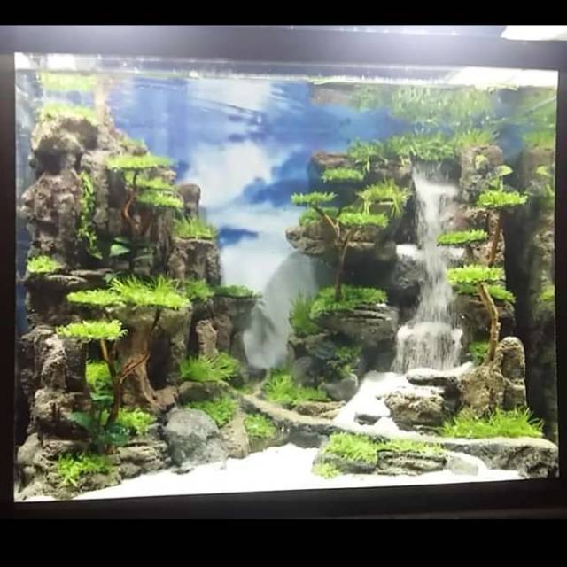 

Aquasecape