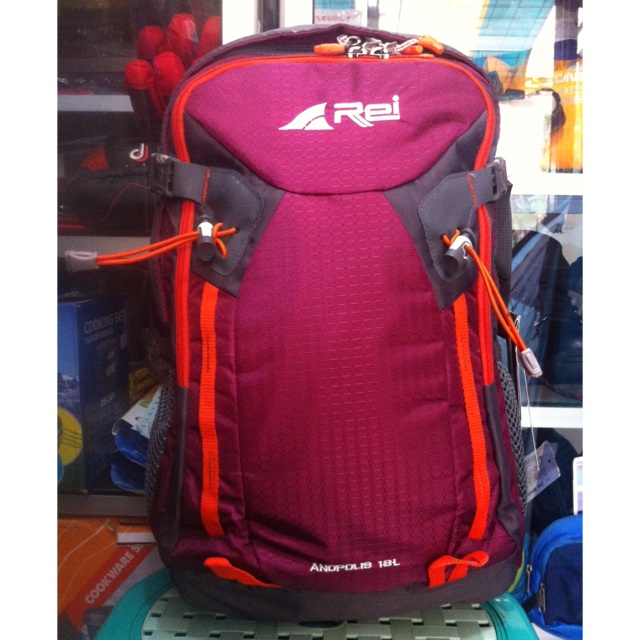 Tas Ransel Laptop REI Anopolis 18L