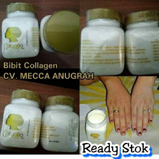Bibit Collagen / Bitcol