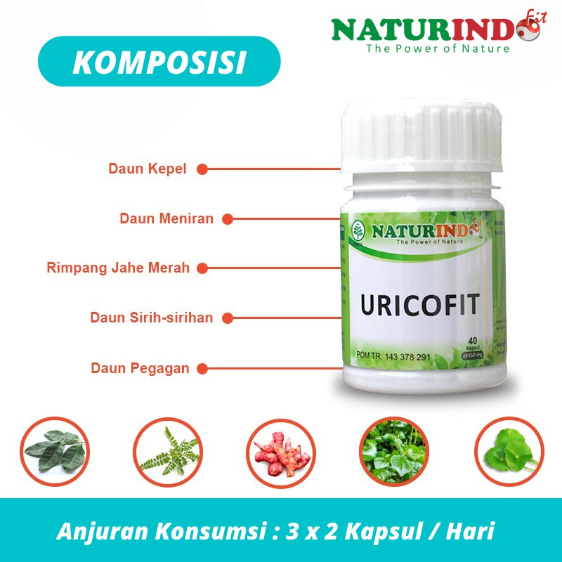 Uricofit Obat Herbal Asam Urat Kapsul Naturindo Bisa Cod-2
