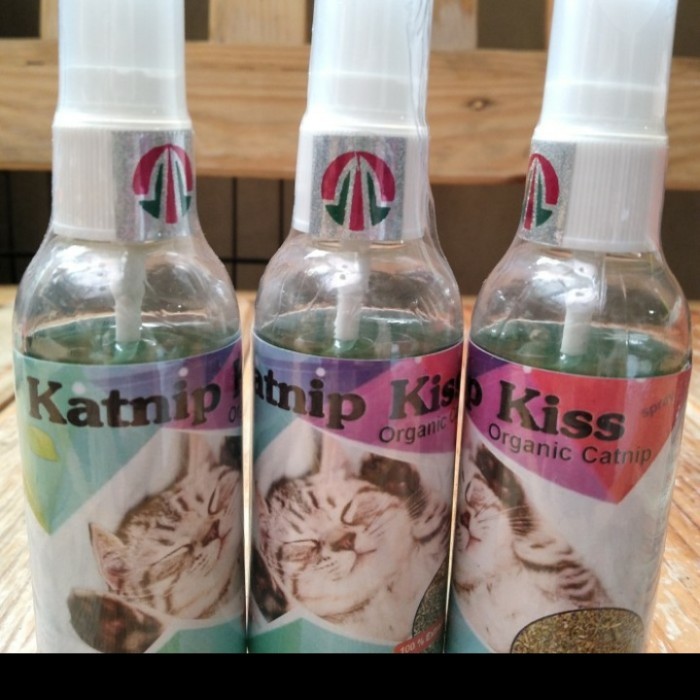 CATNIP SPRAY - KATNIP KISS Catnip Organic Penghilang Stress Kucing catnip