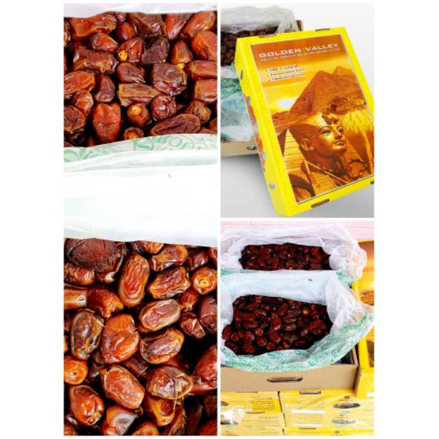 

Kurma Basah Mesir GOLDEN VALLEY Kurma SUKARI AL QASSIM dan BARARI ZAHDI Kemasan 1 Kg kurma Empuk 1000 gram