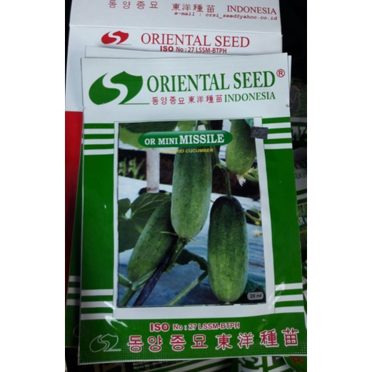Benih Timun Mini Misille dari Oriental Seed