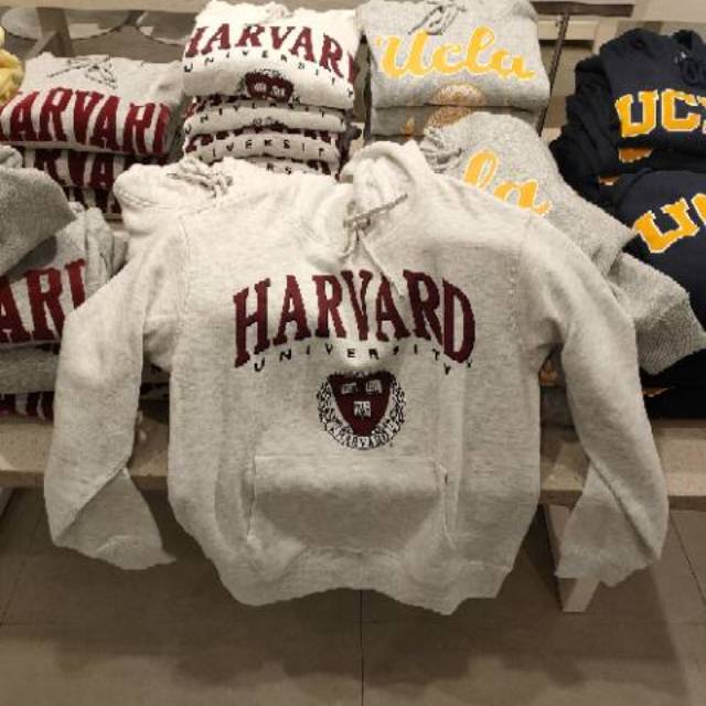 harvard sweater h&m