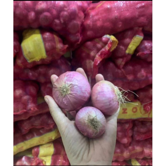 

Bawang merah India 1 kg