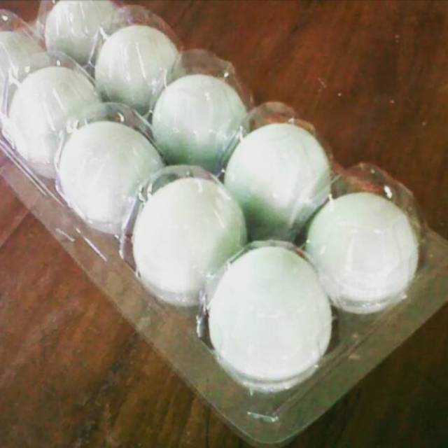 

tempat telur isi 10 biji