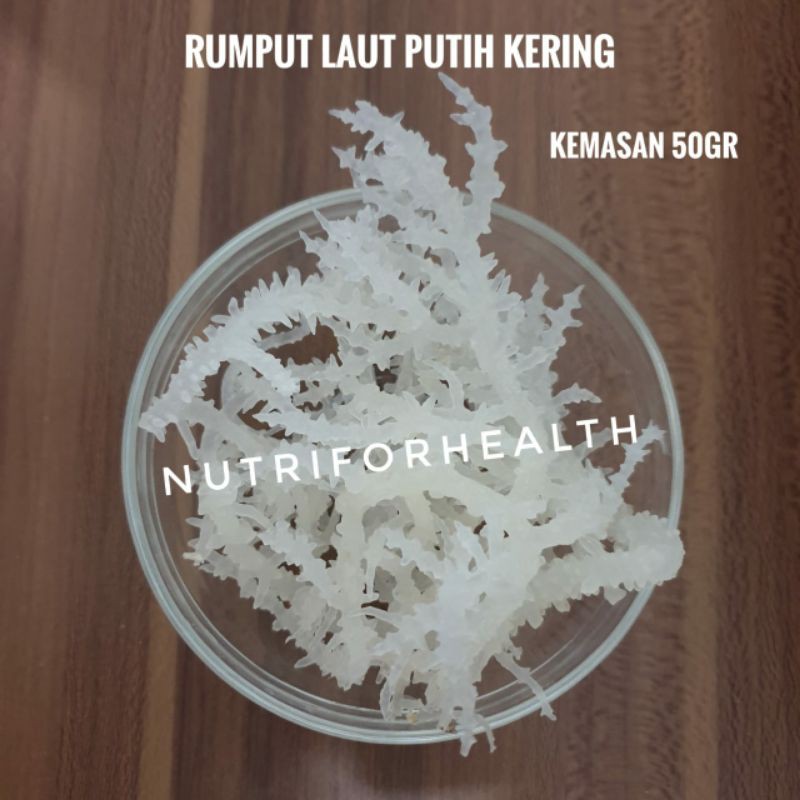 (50gr) Rumput Laut Putih Kering untuk campuran Dessert atau agar