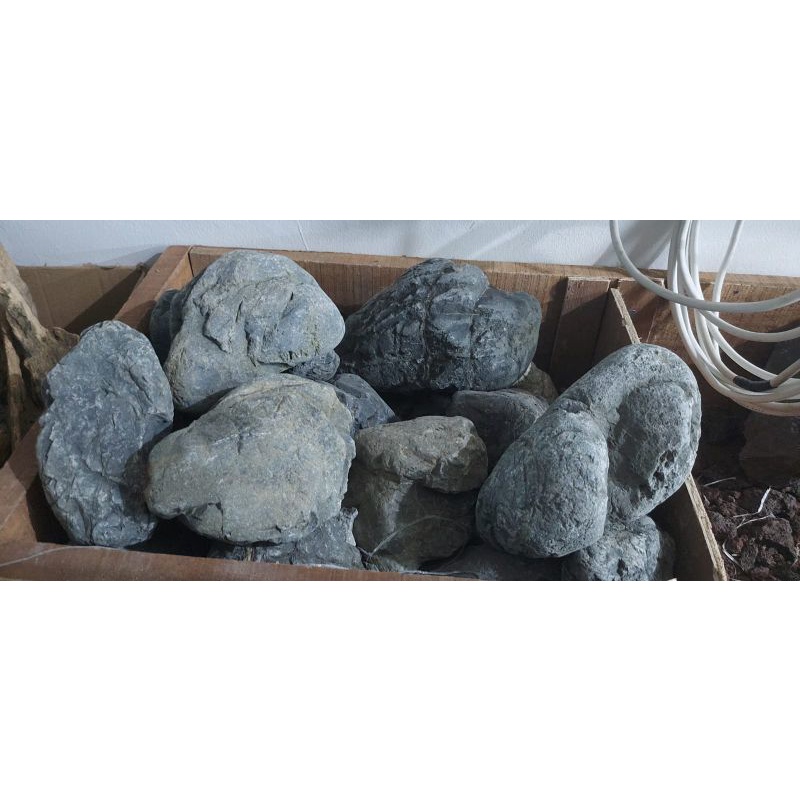 Truly Batu Aquascape