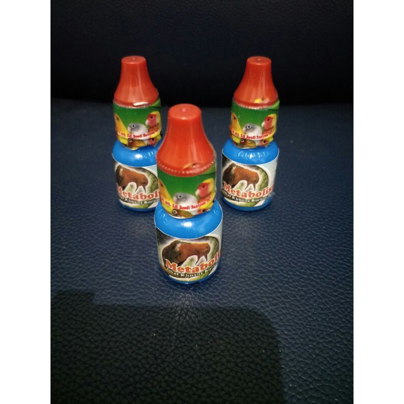 metabolisme burung/vitamin metabolisme