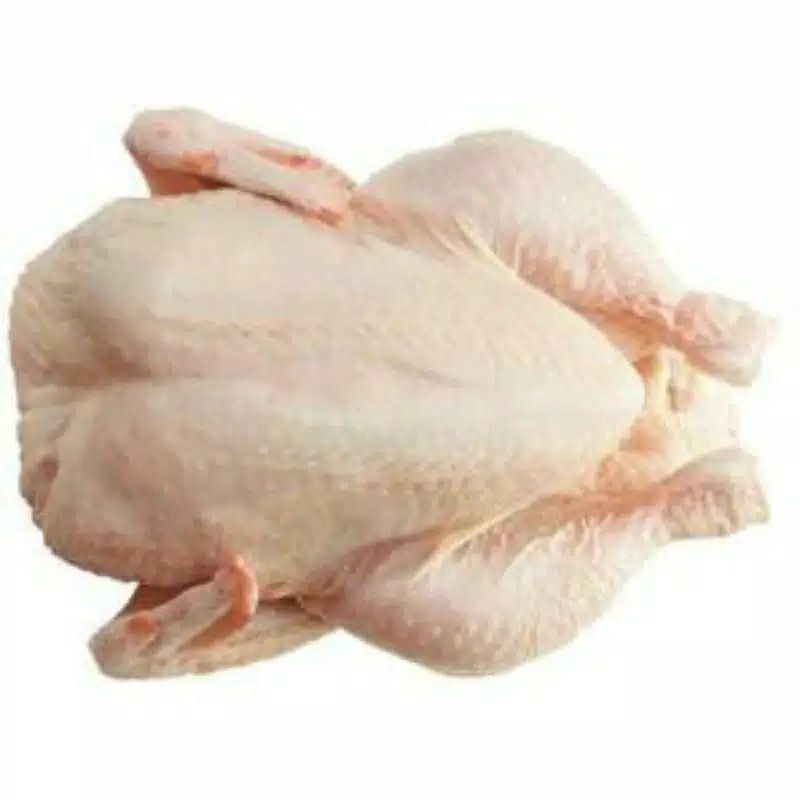 

Ayam Segar Utuh Ukuran Kecil