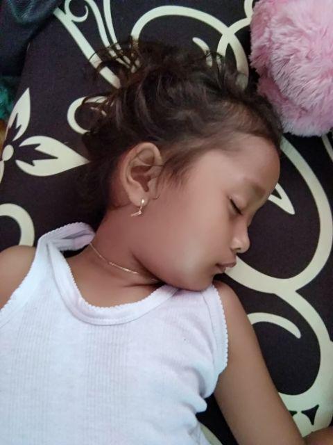 Inoac Kasur Busa Eon Lg D 23 Uk 200 X 100 Cm