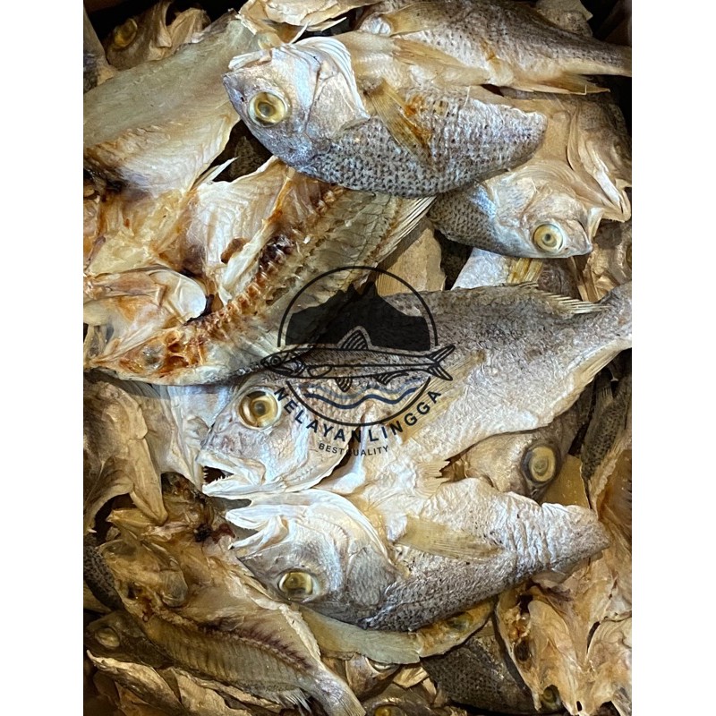 

Ikan asin karang 100gram